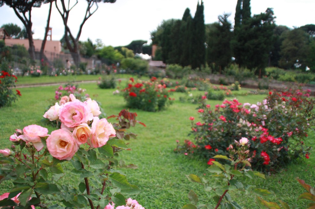 Rose Garden Rome The Aventine Hill off The Beaten Path