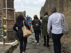 Pompeii and Mt. Vesuvius Private Day Tour from Rome