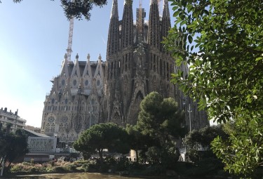 Early Entrance Sagrada Familia Tour with Tower Access- Small Group