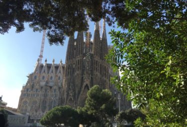 Early Entrance Sagrada Familia Private Tour with Tower Access